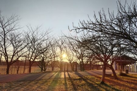 2026年、あけましておめでとうございます。